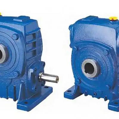 What are the precautions when disassembling and inspecting WPKA100-60-A worm gear reducer